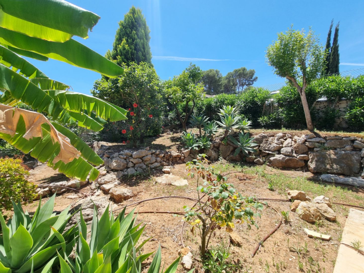 Finca in Pedreguer